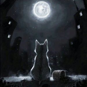 Meet your Posher, Rhonda